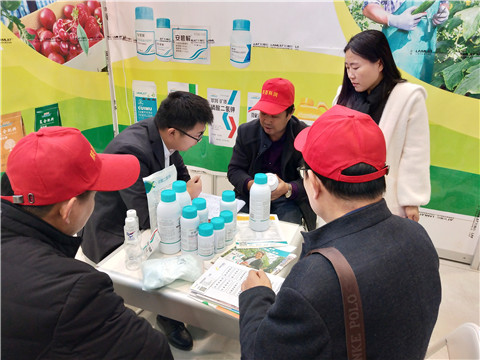 楊凌農(nóng)高會(huì),拉姆拉 楊凌農(nóng)高會(huì),拉姆拉