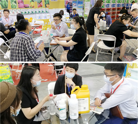 植保會(huì)，拉姆拉，翠姆