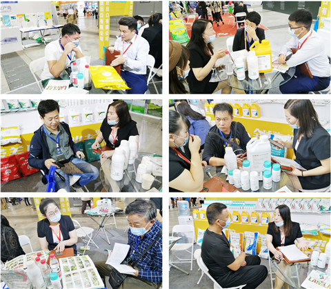 植保會(huì)，拉姆拉，翠姆