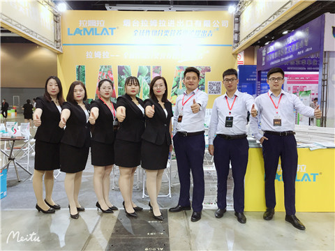 植保會(huì)，拉姆拉，翠姆