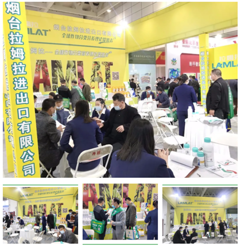 水溶肥，拉姆拉，翠姆