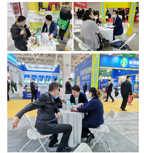 水溶肥，拉姆拉，翠姆