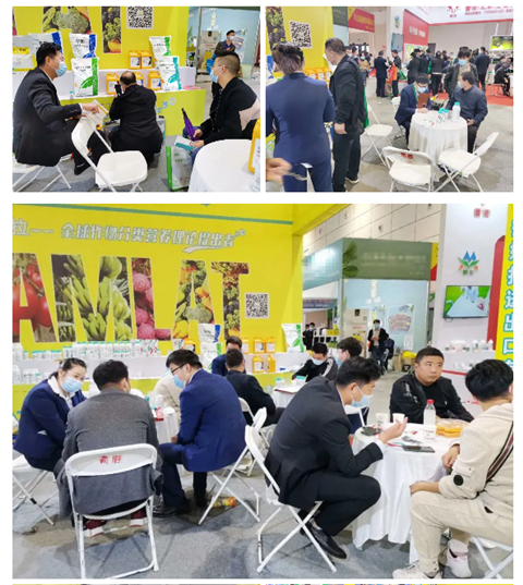 水溶肥，拉姆拉，翠姆