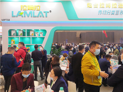 進(jìn)口水溶肥，拉姆拉，翠姆