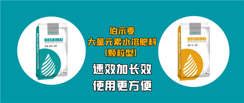 顆粒肥，拉姆拉，翠姆