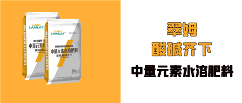 水溶肥，拉姆拉，翠姆