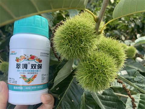 水溶肥品牌,板栗?；ū９?翠姆雙保