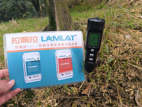 進(jìn)口水溶肥,柑橘種植,拉姆拉滴灌級(jí)特種肥