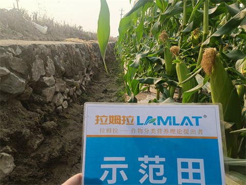 水溶肥廠家,拉姆拉水溶肥,拉姆拉滴灌級特種肥