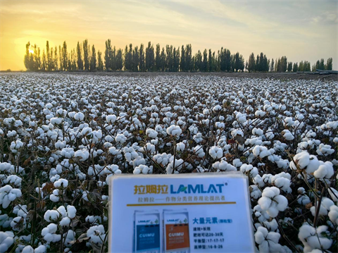 水溶肥品牌,棉花種植,拉姆拉滴灌級特種肥
