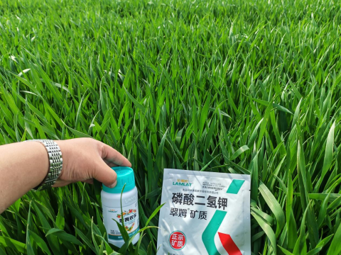 水溶肥品牌,大田作物種植,拉姆拉滴灌級(jí)特種肥